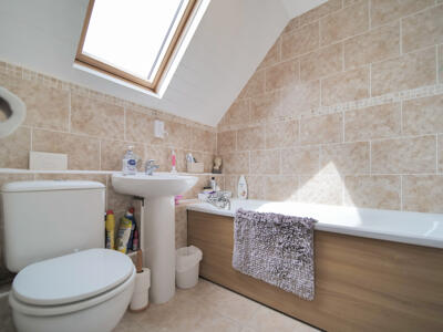 Picture 14